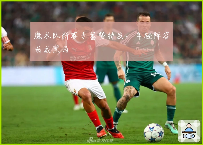 魔术队新赛季蓄势待发，年轻阵容或成黑马